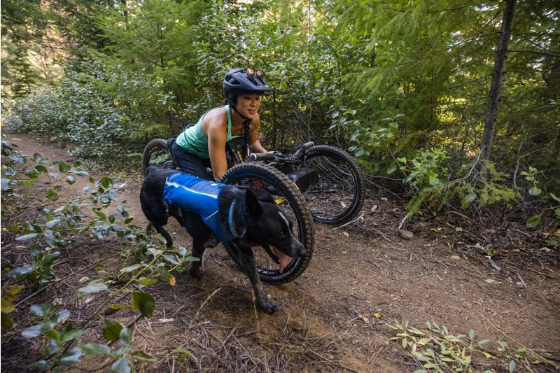 Ruffwear Trail Runner Dog Running Vest Blue Pool-7